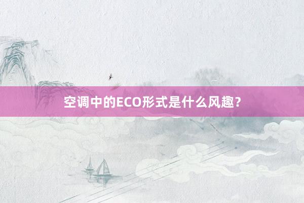 空调中的ECO形式是什么风趣？